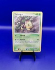Turtwig