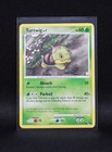 Turtwig
