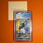 Passimian