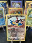 Chatot