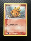 Torchic