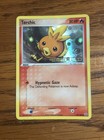 Torchic