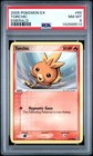 Torchic