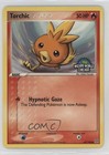 Torchic