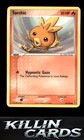 Torchic