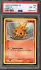 Torchic