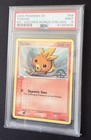 Torchic