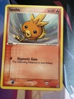 Torchic