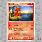 Torchic