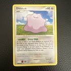 Ditto