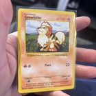 Growlithe