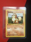 Growlithe