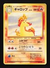 Rapidash