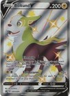 Boltund V