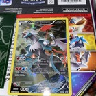 White Kyurem
