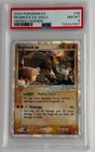 Regirock EX