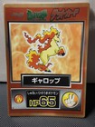 Rapidash 