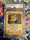 Dark Raichu