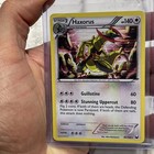 Haxorus