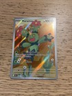 Maractus