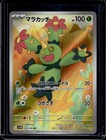 Maractus