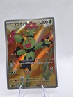 Maractus