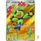 Maractus