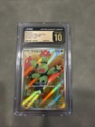 Maractus