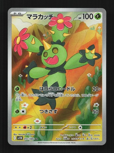 Maractus
