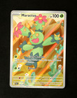 Maractus