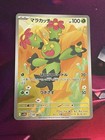 Maractus