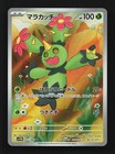 Maractus