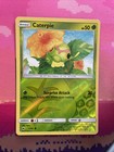 Caterpie