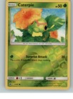 Caterpie