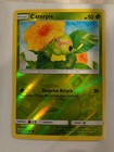 Caterpie