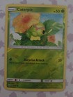 Caterpie