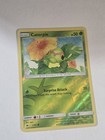 Caterpie