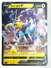 Raikou V