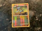 Riolu