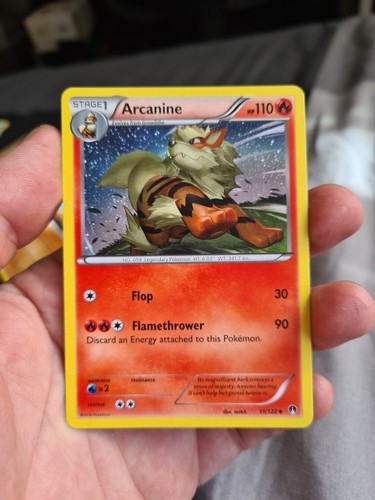 Arcanine
