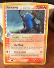 Heracross