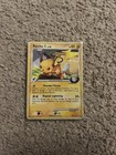 Raichu GL