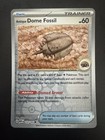 Antique Dome Fossil