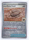 Antique Dome Fossil
