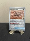 Antique Dome Fossil