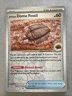 Antique Dome Fossil