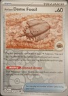Antique Dome Fossil