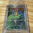Victini V 