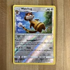 Watchog