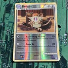 Raticate